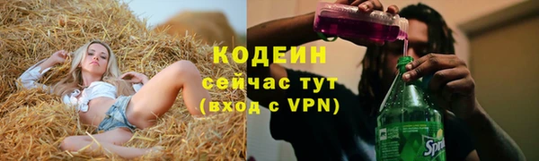 сатива Беломорск