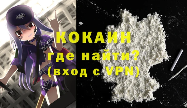 сатива Беломорск